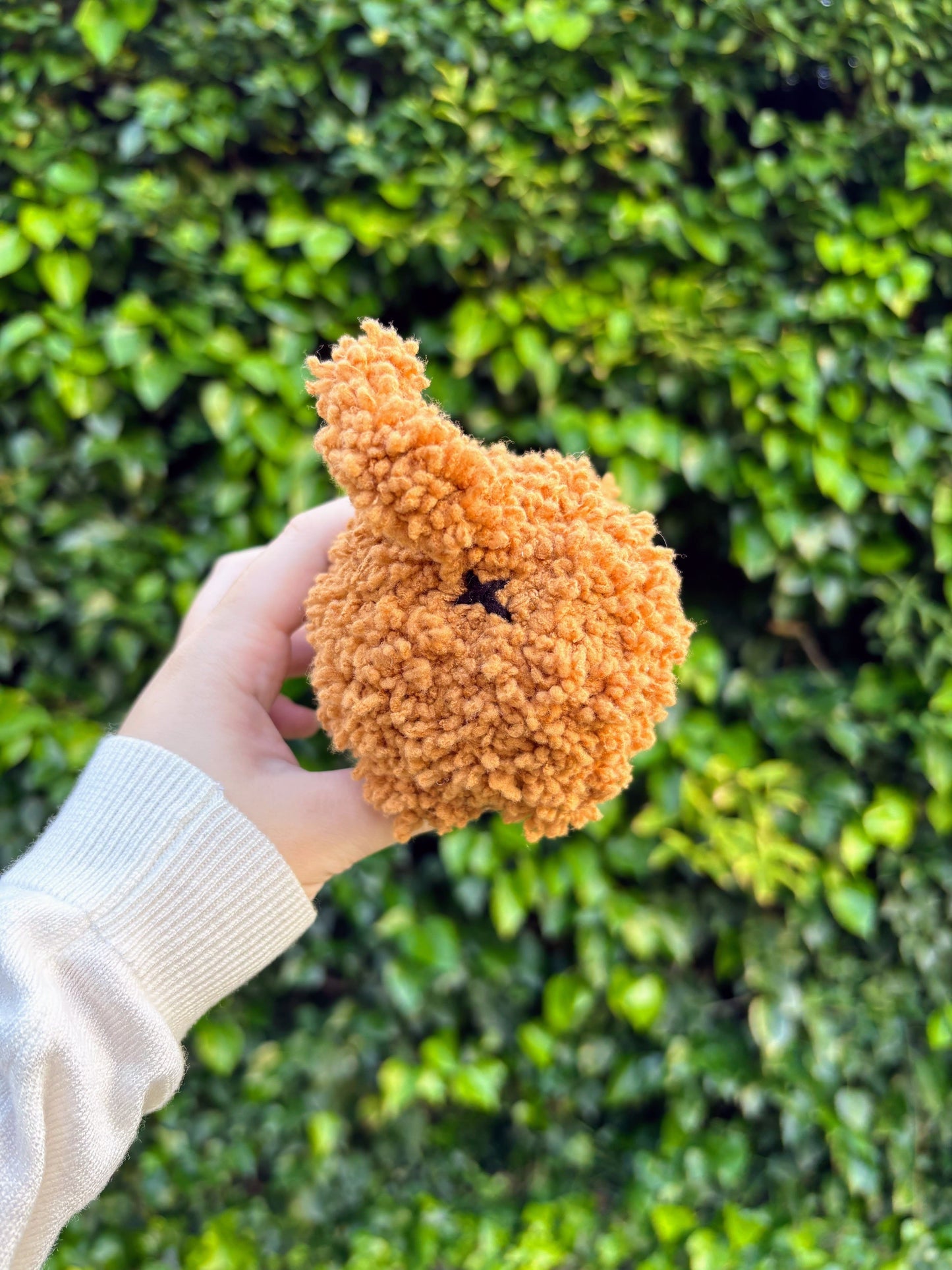 Gato salchicha marrón