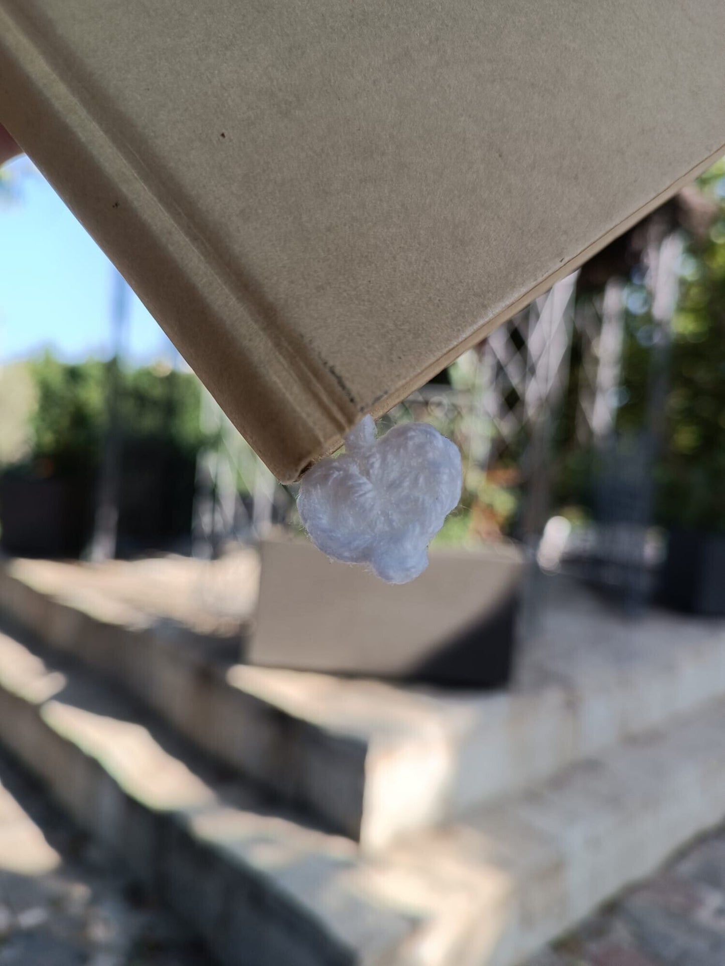 Marcapáginas Tacita