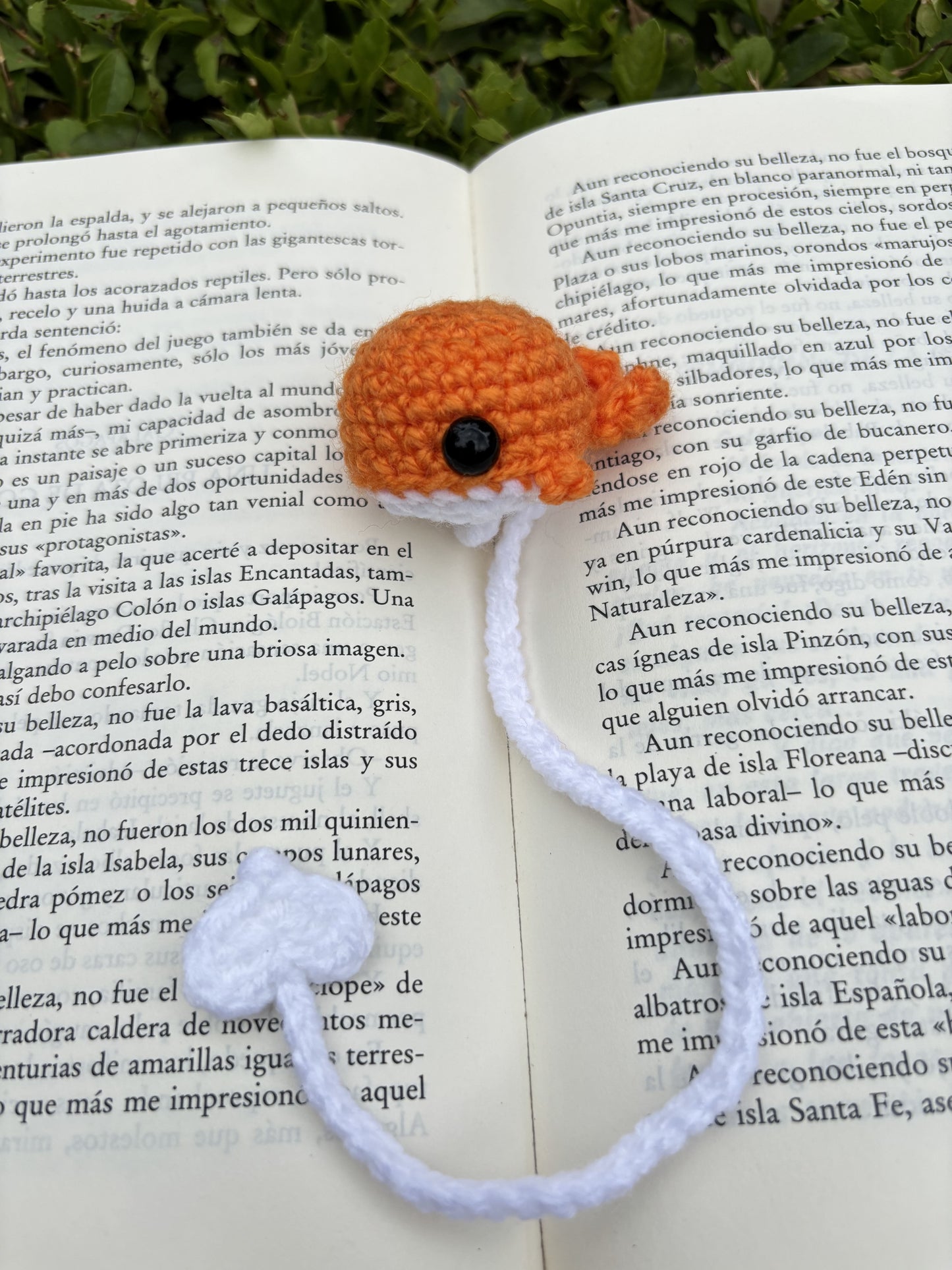 Marcapáginas Ballenita