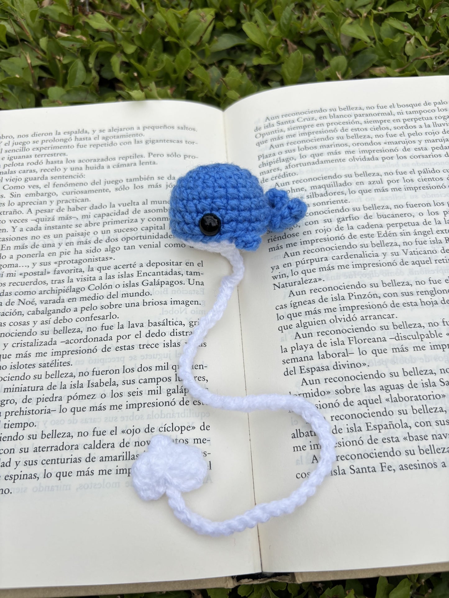 Marcapáginas Ballenita