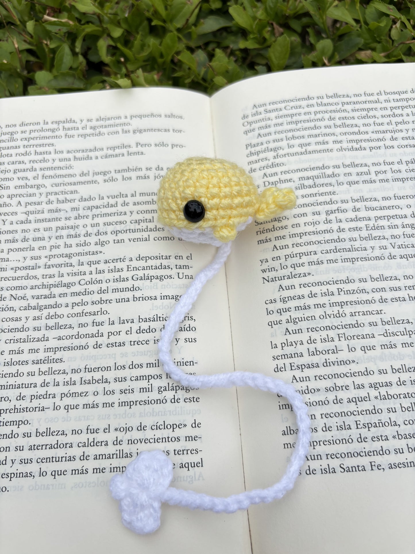 Marcapáginas Ballenita