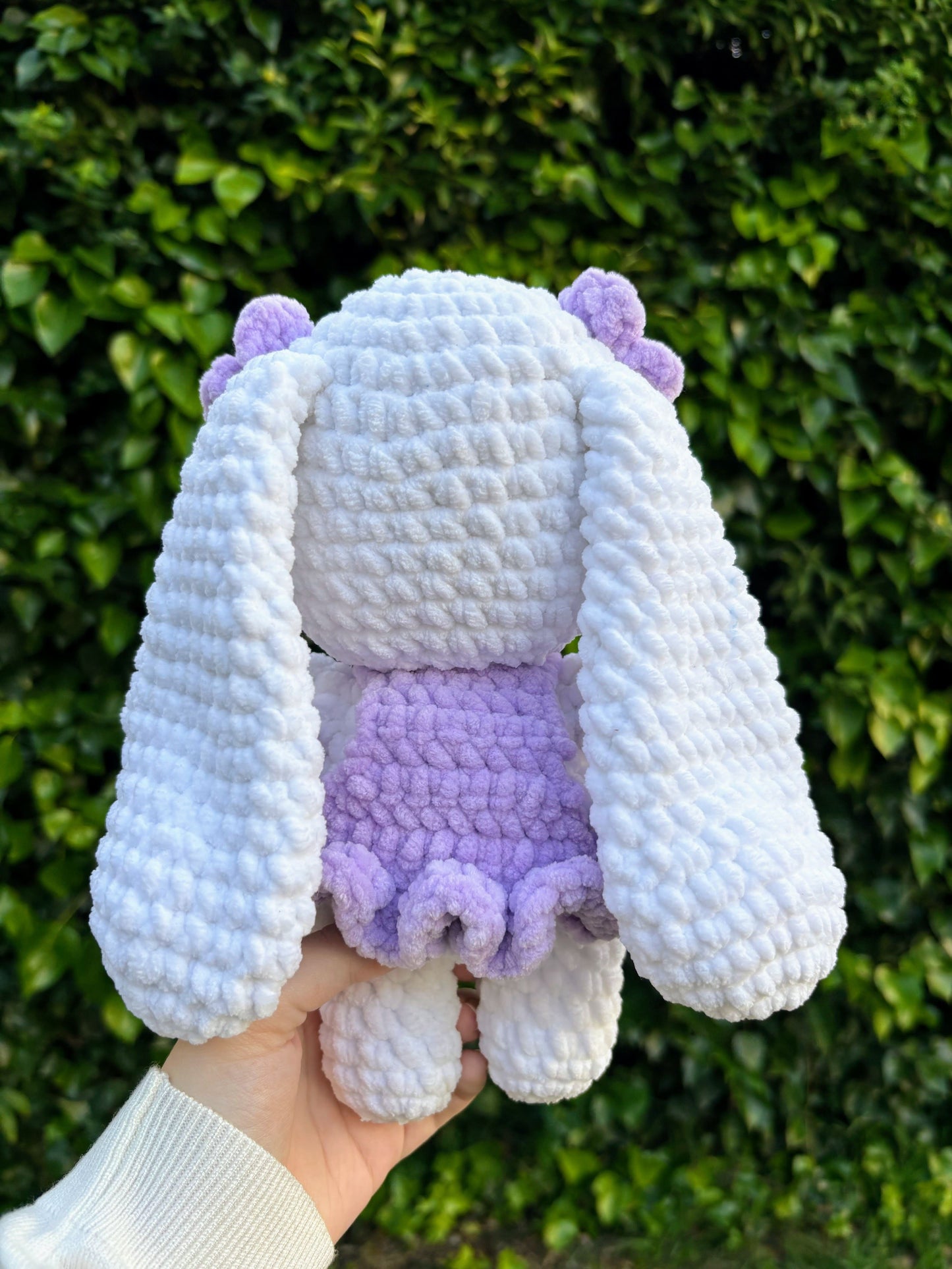 Coneja de orejas largas