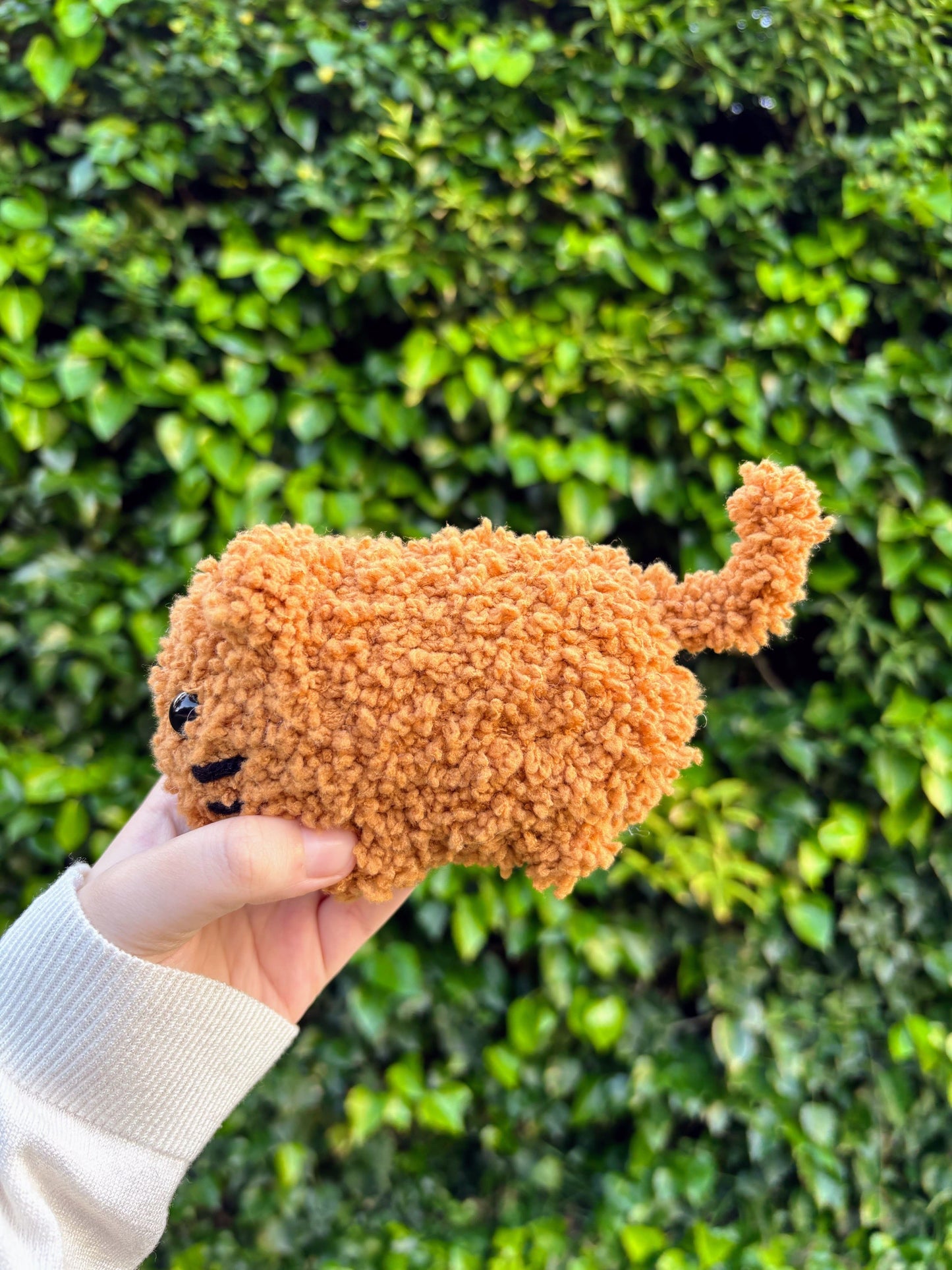 Gato salchicha marrón