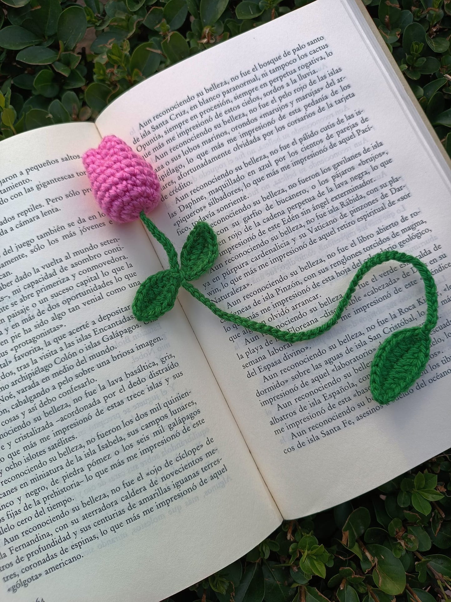 Marcapáginas Tulipan