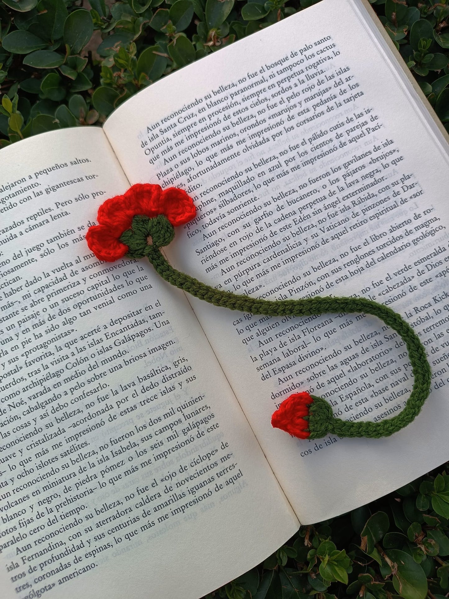 Marcapáginas Clavel