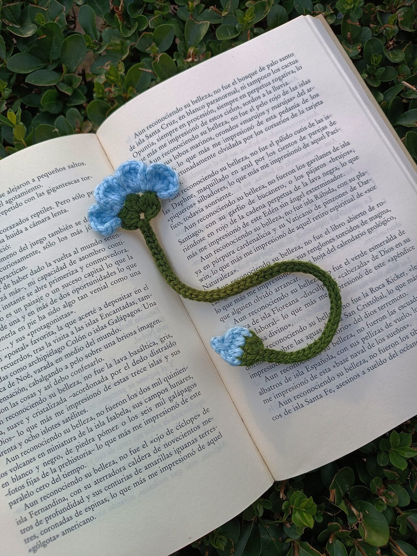 Marcapáginas Clavel