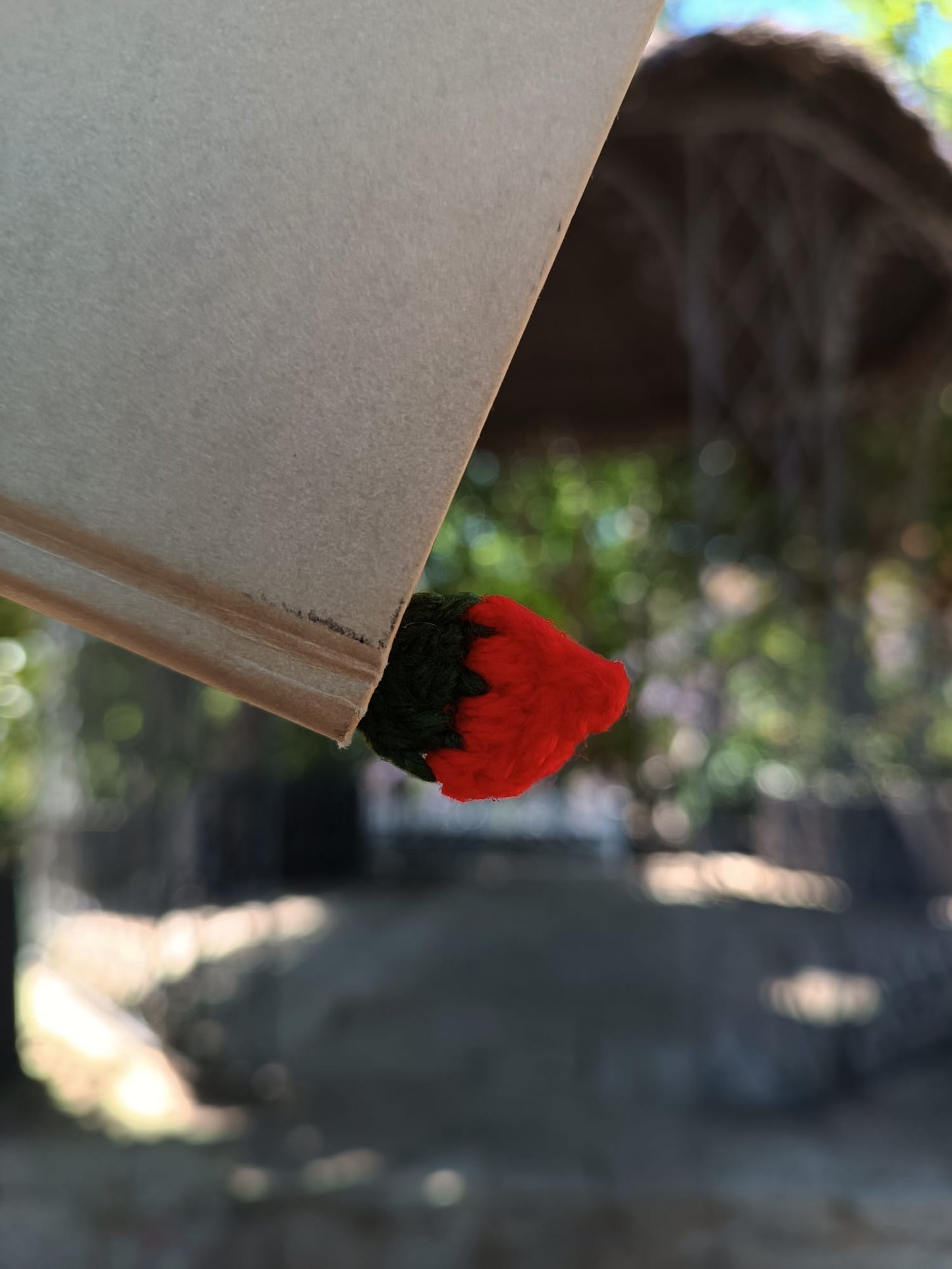 Marcapáginas Clavel